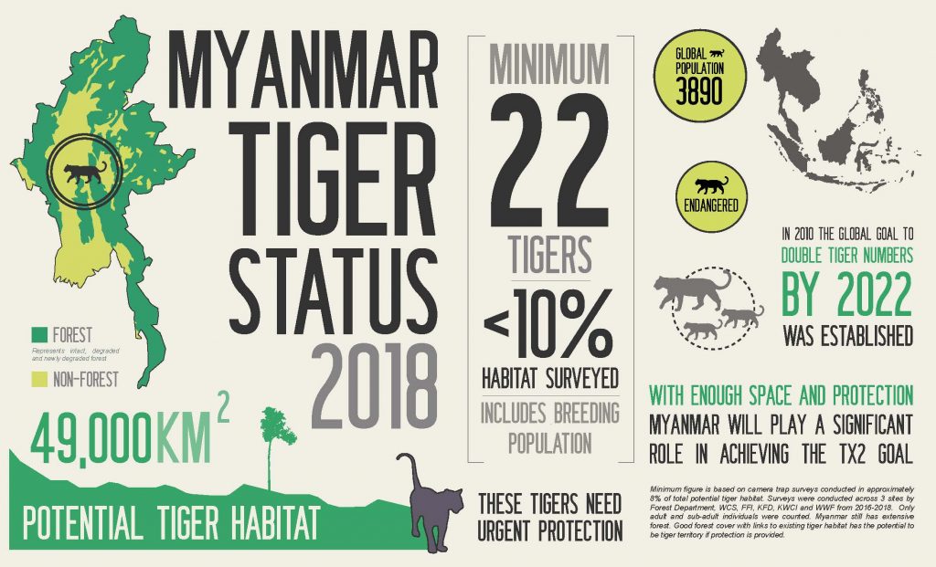 The Hidden Tigers of Southeast Asia